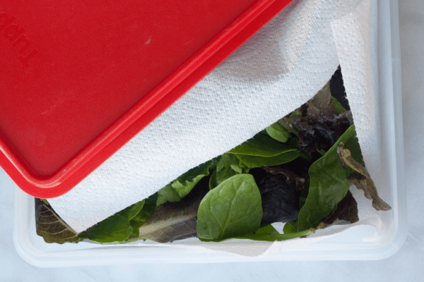 Sử dụng khăn lau thực phẩm để bảo quản rau củ được lâu hơn
